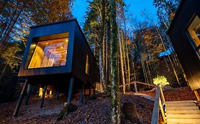 Hotel Fischerwirt Natur Waldspa  4*